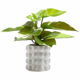 M&S Moss & Sweetpea Artificial Philodendron Plant in Ceramic Pot