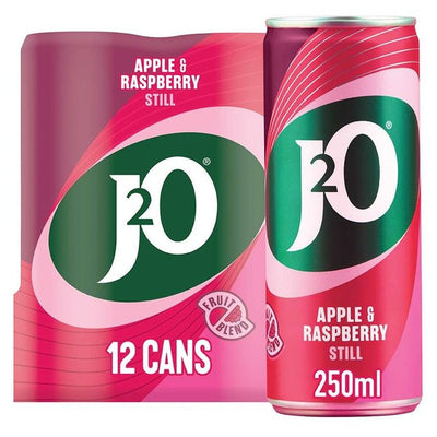 Boisson J2O Pomme et Framboise 12 x 250ml