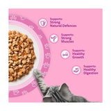Whiskas kitten wet cat food pouches Fish Favourites 12 x 85g, imported from the UK