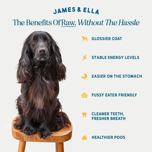 James & Ella Kibble + Freeze Dried Raw Chicken Dog Food 1.5kg, UK version