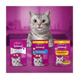 Whiskas Temptations salmon cat treat biscuits 60g (British brand)