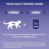 Purina One senior cat food mini fillets with salmon and ocean fish 8x85g pouches, imported from the UK