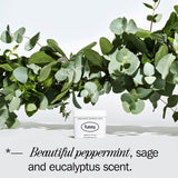 Fussy Wavy Days natural deodorant refill 40g - British product