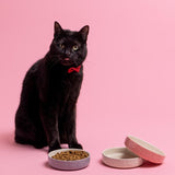 Mason Cash cream cat saucer 13cm, imported from the UK