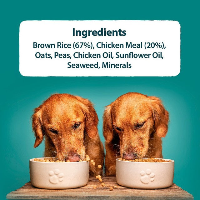 Burns Original Adult/Senior Chicken & Brown Rice Dry Dog Food 12kg - British product