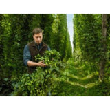 Bitburger Premium Pils 0.0% Beer 6 pack - British product