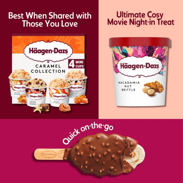 Häagen-Dazs macadamia nut brittle ice cream 460ml, UK version