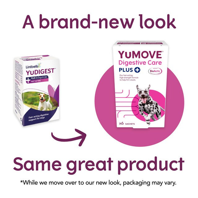 Lintbells YuMOVE PLUS dog digestive health supplement (British brand)