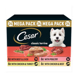 Cesar Classics Terrine Wet Dog Food Mixed Selection Trays 24 x 150g