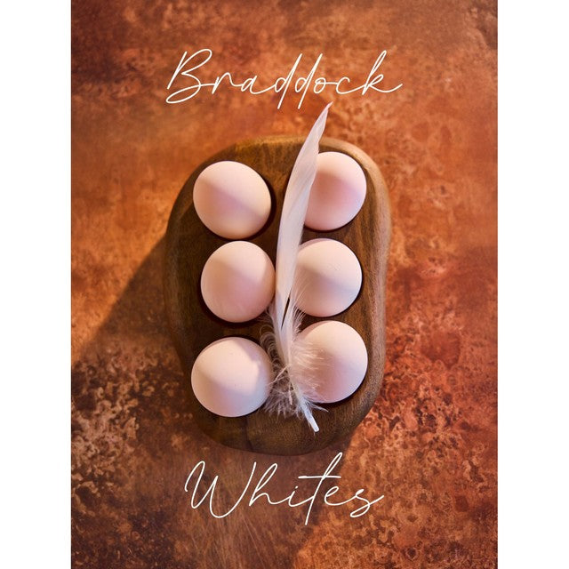 Clarence Court Braddock White 6 Free Range Duck Eggs - British product