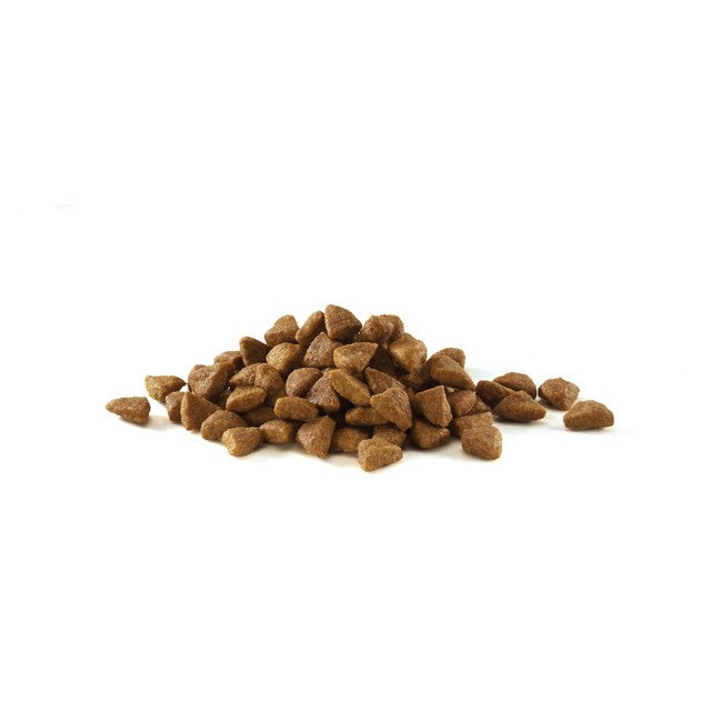 Purina One Coat & Hairball Chicken dry cat food 750g, imported from the UK