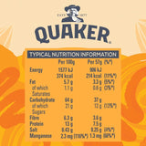 Quaker Golden Syrup Porridge Pot 57g (British brand)