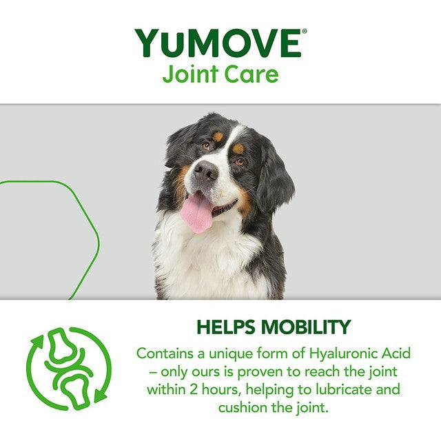 Lintbells YuMove Senior dog joint supplement (British brand)