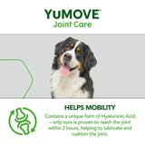 Lintbells YuMove Senior dog joint supplement (British brand)