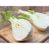 Natoora Italian Large Fennel, imported from the UK