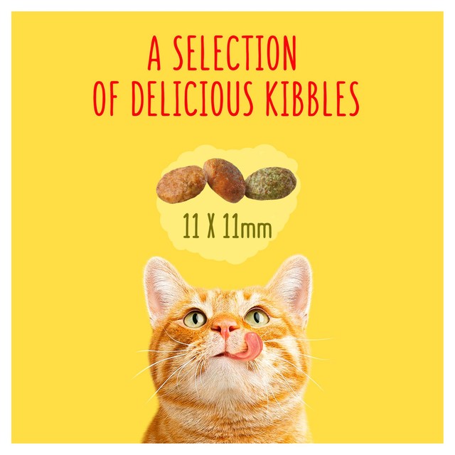 Go-Cat indoor chicken dry cat food 2kg - British product