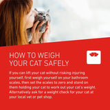 Frontline Cat Wormer Film Coated Tablets 2 per pack - British product