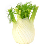 Natoora Italian Large Fennel Bulb