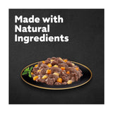 Cesar Juicy Hotpot dog food trays mixed gravy 8x150g - British product