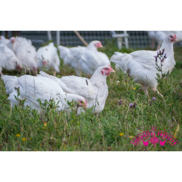 Thoughtful Producer free range whole chicken with pop-up timer 2.3kg (British brand)