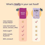 Blink fish fillet cat food multipack 40 pouches - British product