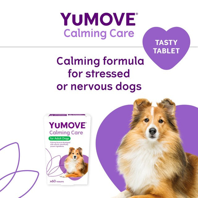 Lintbells dog stress and anxiety calming supplement (British brand)