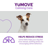 Lintbells dog stress and anxiety calming supplement (British brand)