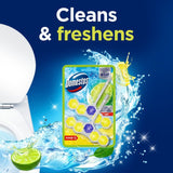 Domestos lime toilet rim block duo pack - British product