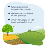 HiPP Organic Vegetable Cannelloni toddler tray meal 250g, UK version