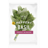 M&S fresh basil 25g - British product