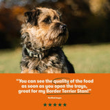 Harringtons grain free chicken and potato wet dog food 400g, UK version
