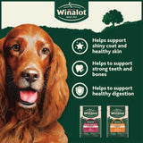 Winalot senior wet dog food 12x100g pouches (British brand)