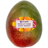 Ocado Ripen at Home Giant Mango Fresh Fruit 600g