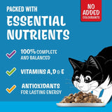 Felix fish selection in jelly wet cat food 80x85g - British product