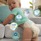 Pampers Baby-Dry nappies Size 4 (9-14kg), imported from the UK