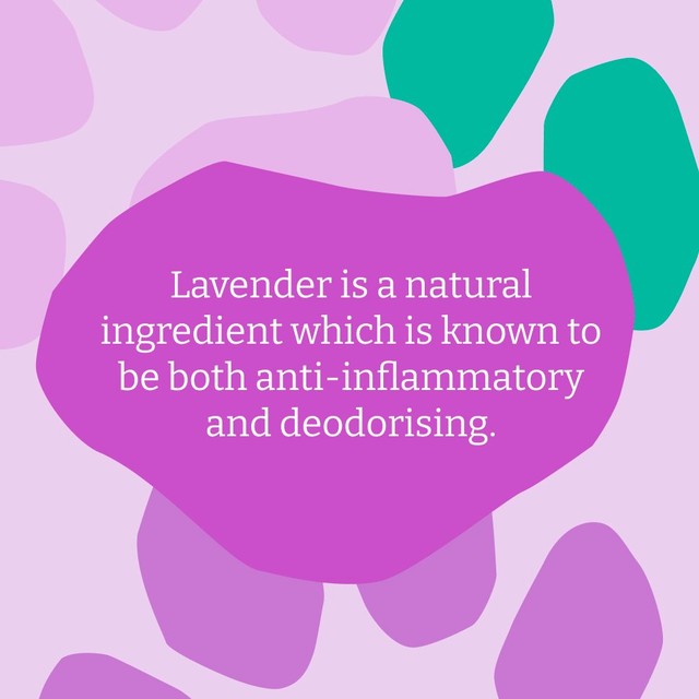 Faith In Nature lavender dog shampoo 5L - British product