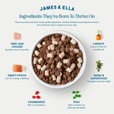 James & Ella Kibble + Freeze Dried Raw Chicken Dog Food 1.5kg, UK version