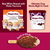 Häagen-Dazs rum and raisin ice cream 460ml, UK version