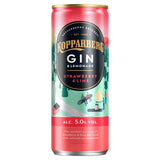 Kopparberg gin and lemonade drink strawberry and lime 250ml, UK version