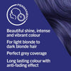 Live Blue Berry permanent hair dye 60ml kit, UK version