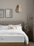 White Brushed Cotton Supersoft Deep Fitted Sheet