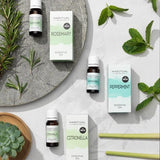 Superdrug Habitual Pure Rosemary Essential Oil 10ml GOODS Superdrug