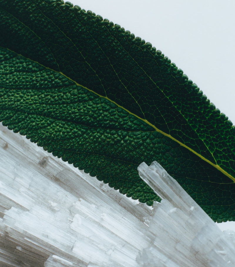 Jo Malone London Wood Sage & Sea Salt Deluxe Candle 600g, UK version