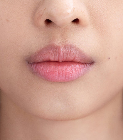 Hydrating Lip Balm Refill with Natural Butters and Extracts