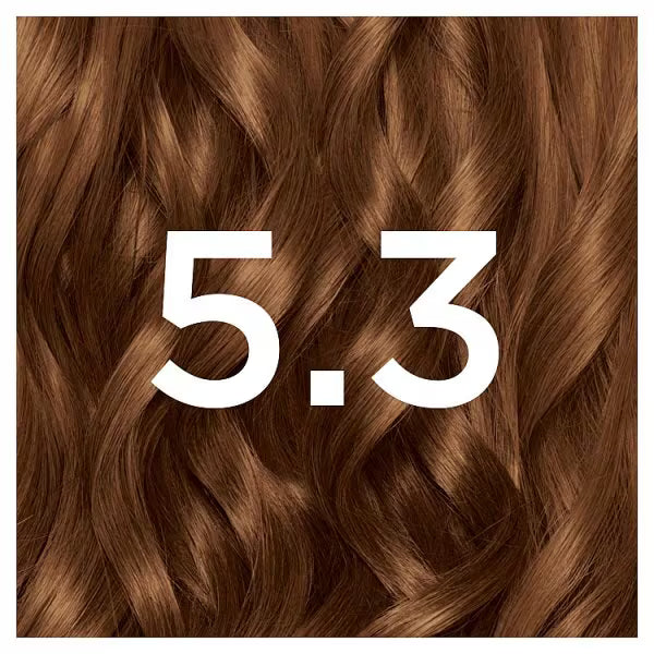 Garnier Nutrisse Golden Brown hair dye imported from the UK