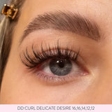 House of Amor Delicate Desire DD Curl False Eyelashes 2 strips - British product