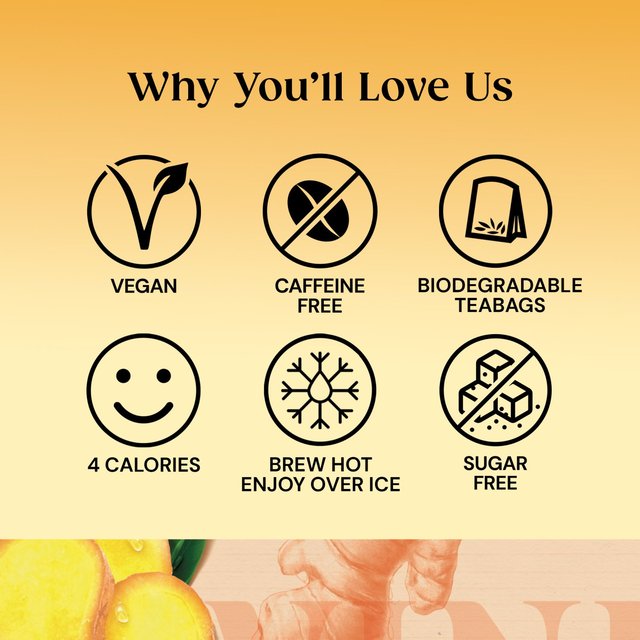 Twinings Spiced Ginger Tea 20 per pack GOODS M&S