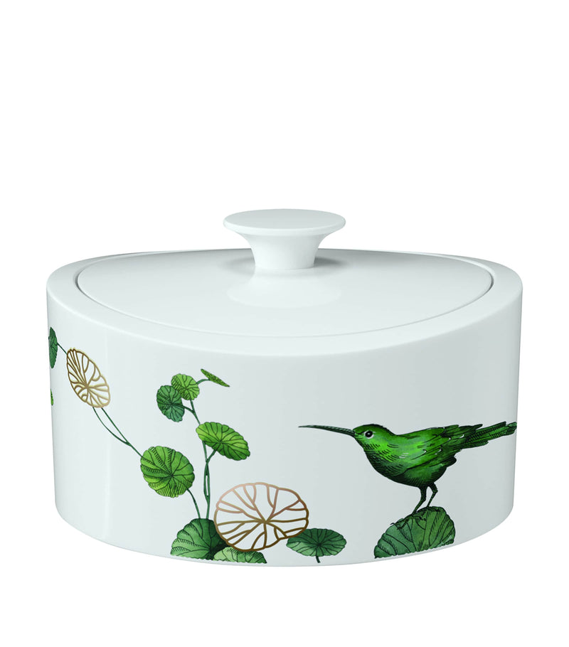 Villeroy & Boch Avarua gift box (British brand)