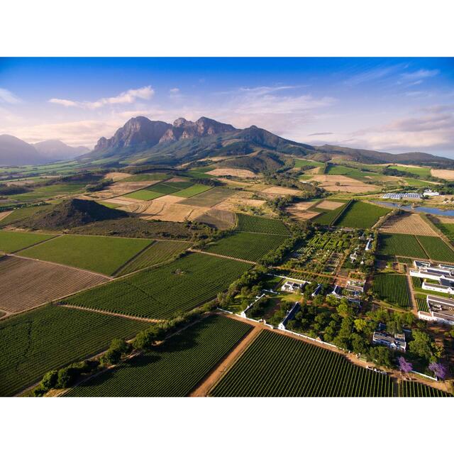 Babylonstoren Babel Red Blend 75cl - McGrocer