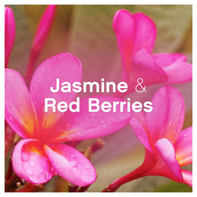 Lenor Jasmine & Red Berries fabric conditioner 1386ml, UK version